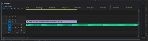 How to Import Music into Premiere Pro: A Comprehensive Guide with Insightful Discussions